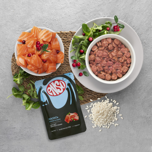 ENSO влажный корм для взрослых кошек, кусочки в соусе с лососем, в паучах - 85 г