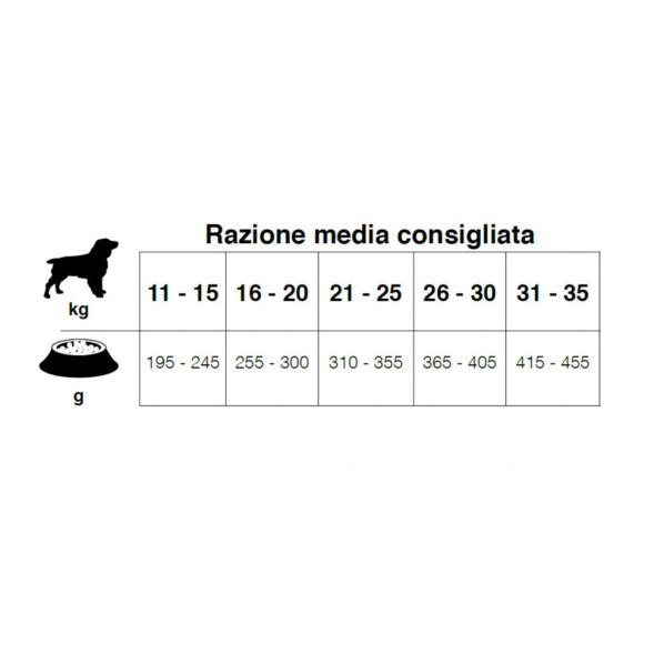 Forza10 MonoDiet Adult Medium Pesce сухой корм для взрослых собак средних пород с рыбой - 12 кг