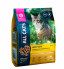 ALL CATS сухой корм для взрослых кошек с курицей - 350 г