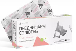 Преднифарм Солютаб 40 мг - 10 таблеток