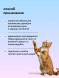 Pamilee шампунь универсальный для кошек всех пород, с ароматом молочного коктейля - 250 мл