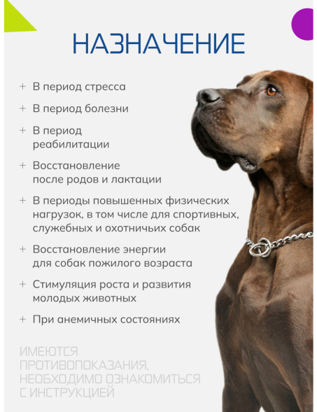 Бутофан Актив - 100 мл
