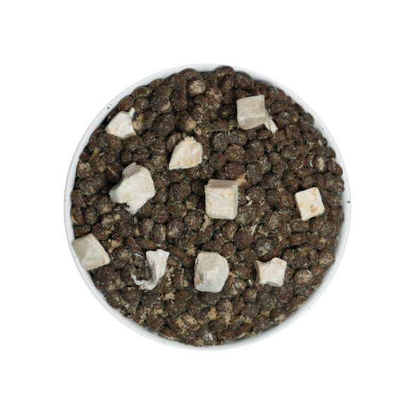 TOPUR Kitten Immuno 85% мяса сухой корм для котят, для укрепления иммунитета, с напылением и кусочками курицы и скумбрией - 1,5 кг