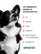 Pamilee ClearEars лосьон для ушей для кошек и собак - 100 мл