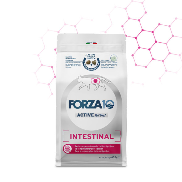 Forza10 Active Vetdiet Intestinal Cat сухой корм для взрослых кошек при проблемах с кишечником - 400 г