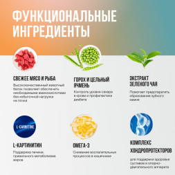 BOWL WOW мини-набор сухих кормов для взрослых собак мелких пород - 150 г х 4 шт: с розмарином - 2 шт; с тыквой - 2 шт