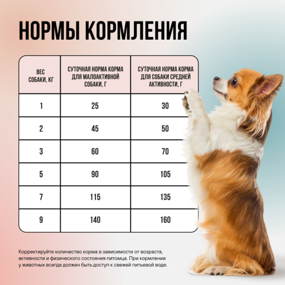 BOWL WOW мини-набор сухих кормов для взрослых собак мелких пород - 150 г х 4 шт: с розмарином - 2 шт; с тыквой - 2 шт