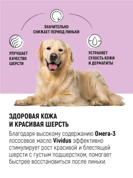 Vividus кормовая добавка для животных масло дикого лосося - 100 мл