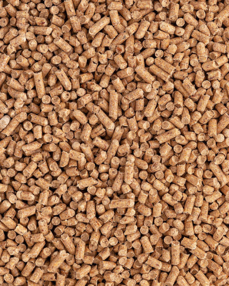 Сибирская Кошка &quot;Лесной&quot; для котят впитывающий древесный наполнитель для кошачьего туалета, гранулы 6 мм - 3 л