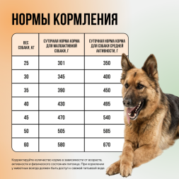 BOWL WOW мини-набор сухих кормов для взрослых собак крупных пород - 150 г х 4 шт: с цукини - 2 шт; с тыквой - 2 шт