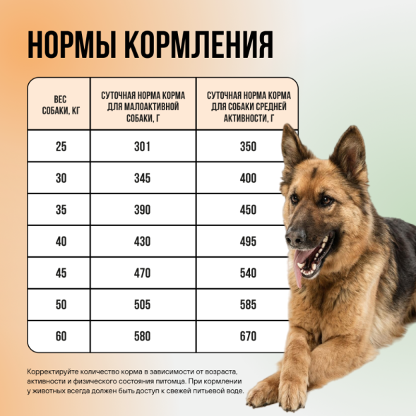 BOWL WOW мини-набор сухих кормов для взрослых собак крупных пород - 150 г х 4 шт: с цукини - 2 шт; с тыквой - 2 шт