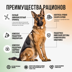 BOWL WOW мини-набор сухих кормов для взрослых собак крупных пород - 150 г х 4 шт: с цукини - 2 шт; с тыквой - 2 шт