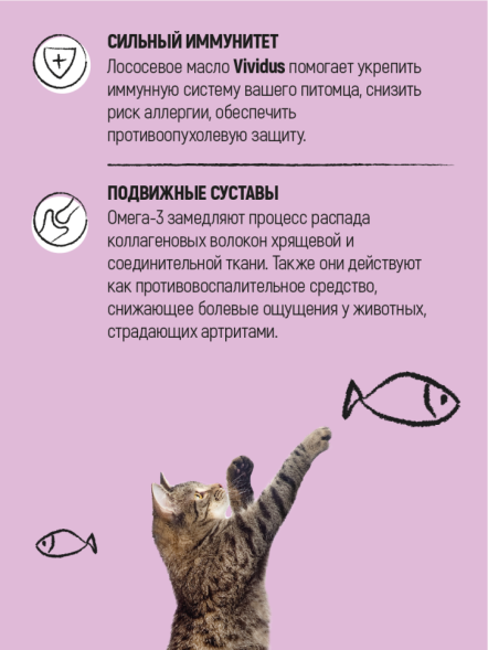 Vividus кормовая добавка для животных масло дикого лосося - 250 мл