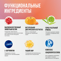 BOWL WOW мини-набор сухих кормов для взрослых собак средних пород - 150 г х 4 шт: с яблоком - 1 шт; с морковью -1 шт; со свеклой - 2 шт