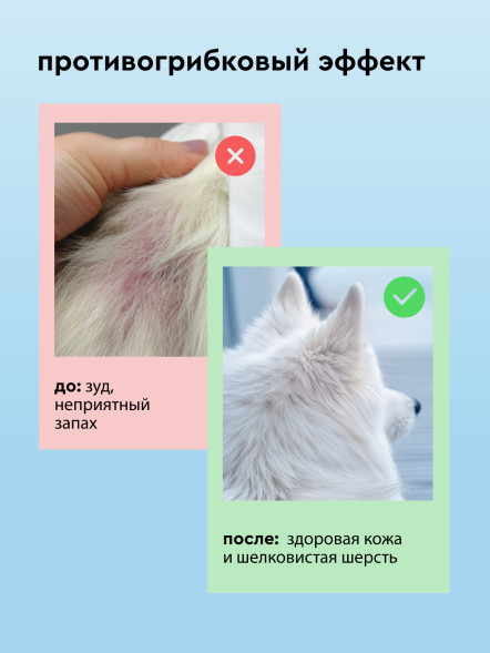 Pamilee шампунь для кошек и собак, с хлоргексидином - 444 мл