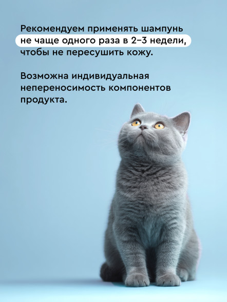 Pamilee шампунь для кошек и собак, с хлоргексидином - 444 мл