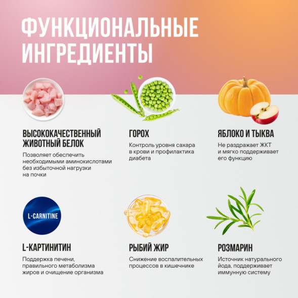 BOWL WOW мини-набор сухих кормов для взрослых кошек с чувствительным пищеварением - 100 г х 4 шт: с яблоком - 2 шт; с тыквой - 2 шт