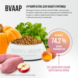 BOWL WOW мини-набор сухих кормов для взрослых кошек с чувствительным пищеварением - 100 г х 4 шт: с яблоком - 2 шт; с тыквой - 2 шт