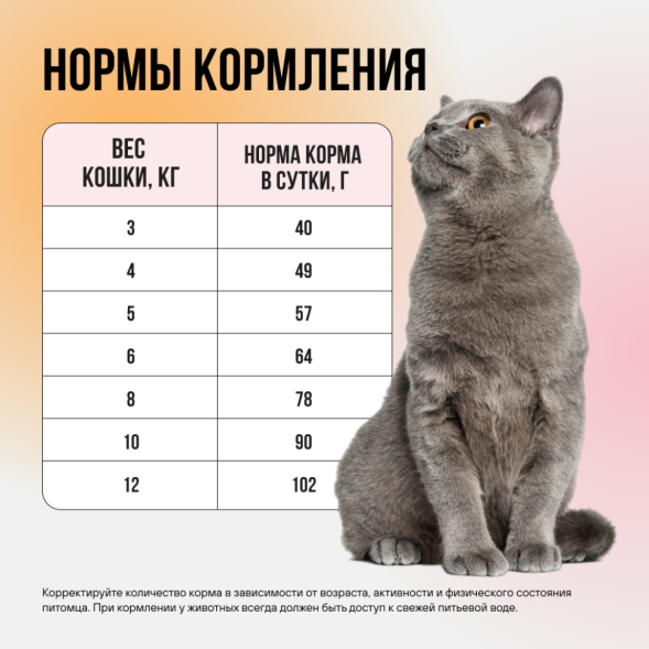 BOWL WOW мини-набор сухих кормов для взрослых кошек с чувствительным пищеварением - 100 г х 4 шт: с яблоком - 2 шт; с тыквой - 2 шт