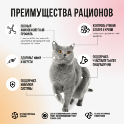 BOWL WOW мини-набор сухих кормов для взрослых кошек с чувствительным пищеварением - 100 г х 4 шт: с яблоком - 2 шт; с тыквой - 2 шт