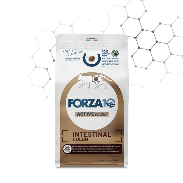 Forza10 Active Vetdiet Intestinal Colon Cat для взрослых кошек с хроническими колитами - 400 г