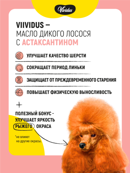 Vividus кормовая добавка для животных масло дикого лосося с астаксантином - 100 мл