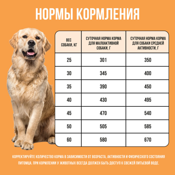 BOWL WOW сухой корм для взрослых собак крупных пород с индейкой, курицей, рисом и тыквой - 10 кг