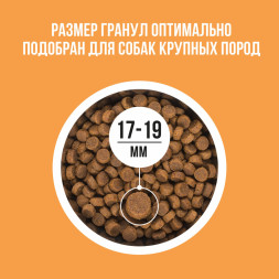BOWL WOW сухой корм для взрослых собак крупных пород с индейкой, курицей, рисом и тыквой - 2 кг