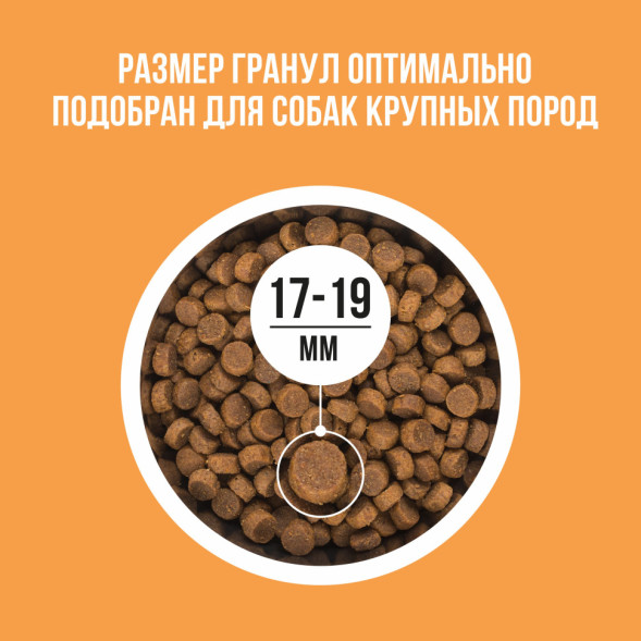 BOWL WOW сухой корм для взрослых собак крупных пород с индейкой, курицей, рисом и тыквой - 5 кг