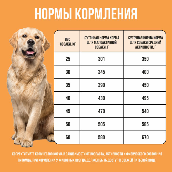 BOWL WOW сухой корм для взрослых собак крупных пород с индейкой, курицей, рисом и тыквой - 5 кг