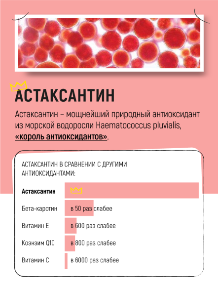 Vividus кормовая добавка для животных масло дикого лосося с астаксантином - 500 мл