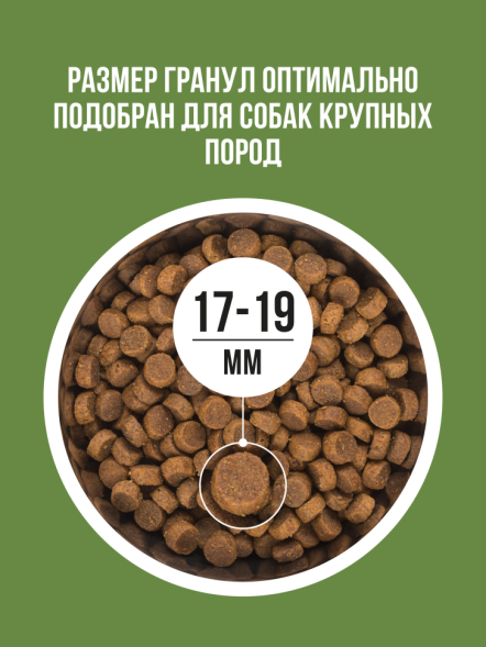 BOWL WOW сухой корм для взрослых собак крупных пород с ягненком, индейкой, рисом и цукини - 2 кг