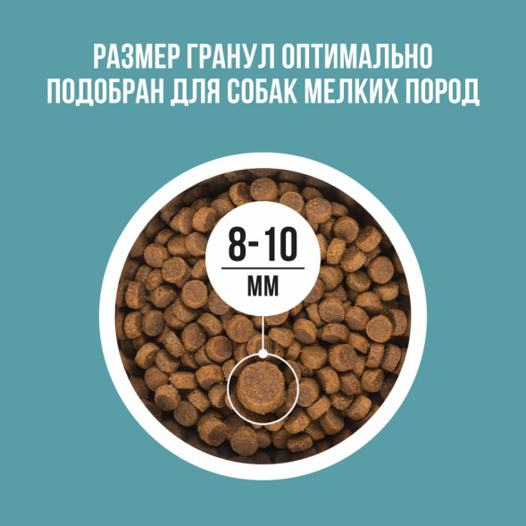 BOWL WOW сухой корм для взрослых собак мелких пород с индейкой, рисом и розмарином - 2 кг