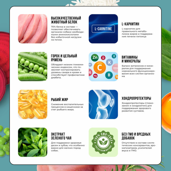 BOWL WOW сухой корм для взрослых собак мелких пород с индейкой, рисом и розмарином - 800 г