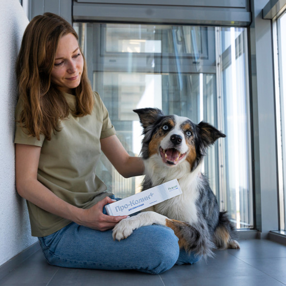 Проколин для лечения диареи и пищевых расстройств у собак и кошек - 60 мл
