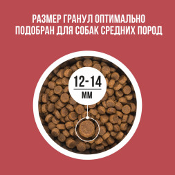 BOWL WOW сухой корм для взрослых собак средних пород с индейкой, курицей, рисом и свеклой - 5 кг
