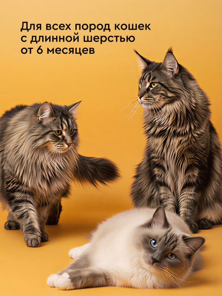 Pamilee шампунь-кондиционер для кошек с длинной шерстью, с ароматом груши - 444 мл