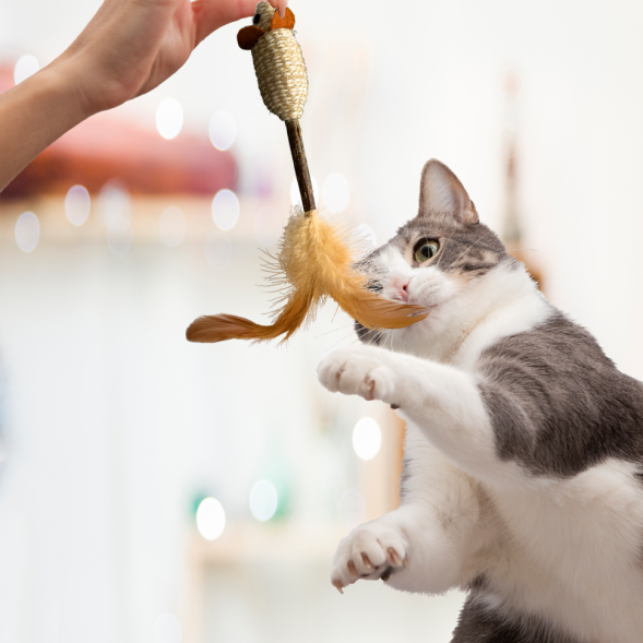 BONITAPET игрушка для кошек Мышь с палкой и пером, 12x7 см