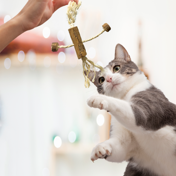 BONITAPET игрушка для кошек Бочка с веревками, 18x6 см