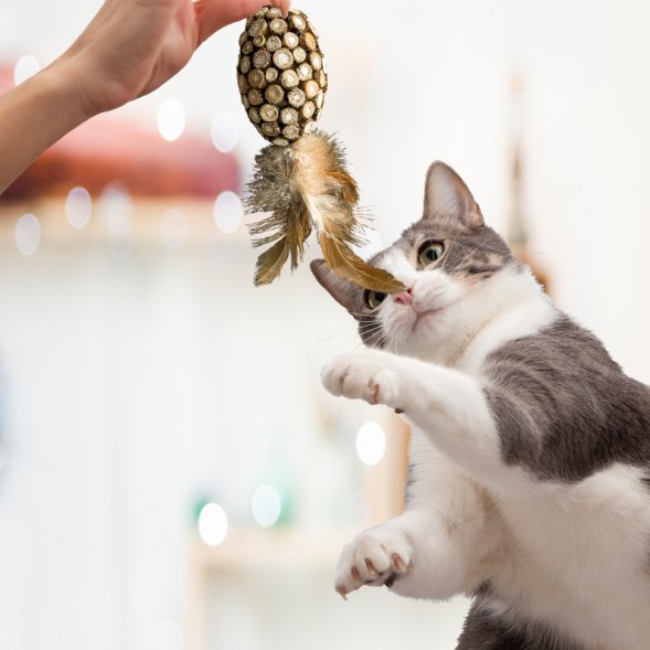 BONITAPET игрушка для кошек Ананас с перьями, 7,7x5 см