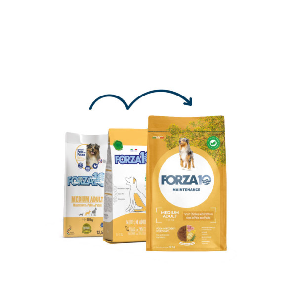 Forza10 Maintenance Medium Pollo/Patate сухой корм для взрослых собак средних пород с курицей и картофелем - 12,5 кг