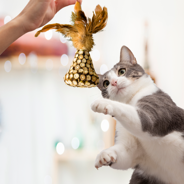 BONITAPET игрушка для кошек Груша с перьями, 7,8 см