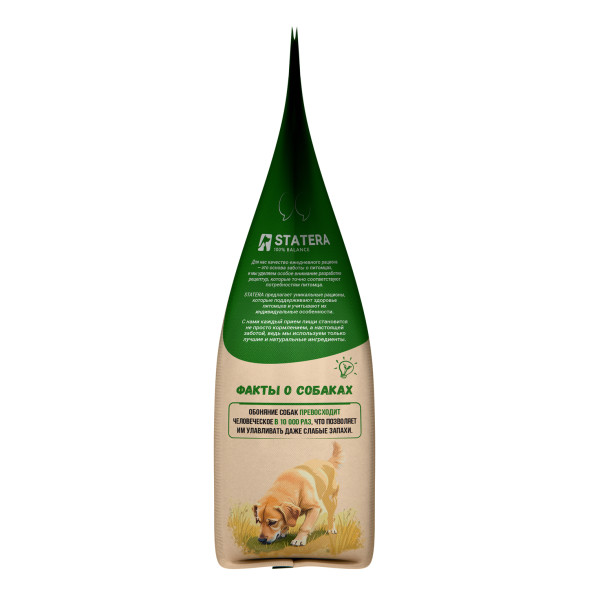 Statera сухой полнорационный корм для взрослых собак всех пород, с лососем - 2 кг